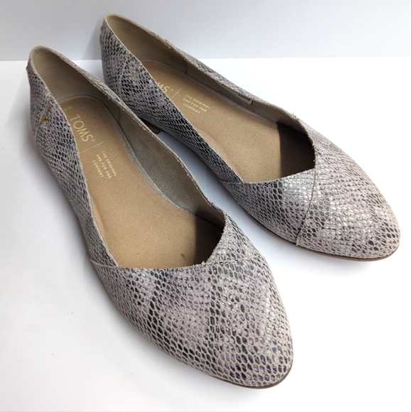 🤎5/$25🤎TOMS Gray Reptile Print Flats - Picture 2 of 7